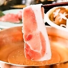 芯々特集写真1