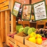 野菜を食べるカレー camp MARKIS静岡店のおすすめポイント1