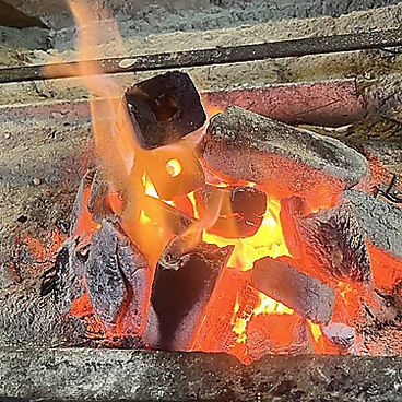 炙り酒場 たぬきの雰囲気1