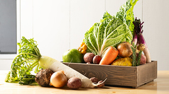 旬の野菜を使用したおばんざい