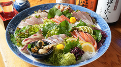 おまかせ刺し盛