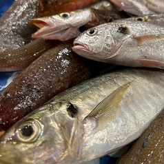 ゆかしの真骨頂『漁師直送の鮮魚』！