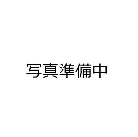 ダミー