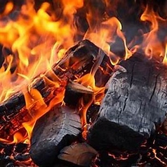 大山鶏をじっくりと土佐備長炭で焼き上げます