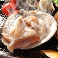 料理メニュー写真&nbsp;ほっき貝（北寄貝・ウバガイ）[売れ筋]