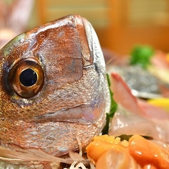 海鮮ダイニング魚勝の写真