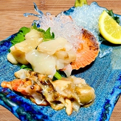 《活貝》檜扇貝(2枚)の刺身