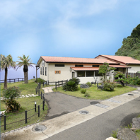 新鮮な烏賊を筑前海の絶景を眺めながらいただく贅沢★