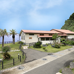 西の浦イカ活き造り 波平の写真2