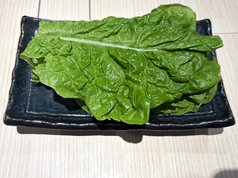 包み菜サンチェ