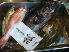 季節の鮮魚、全国より入荷