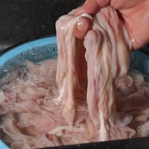 ホルモン焼肉酒場 フジ山 多治見店のおすすめ料理2