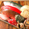 魚でん 札幌すすきの店のおすすめポイント2