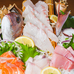 焼鳥 まる吉 マルキチ の特集写真