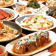 しだ風の特集写真