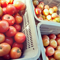 産地・地元の野菜にこだわりってご提供。