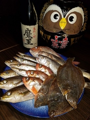 日替わり鮮魚