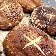 しいたけ焼き