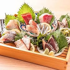 しらはら 新宿本店