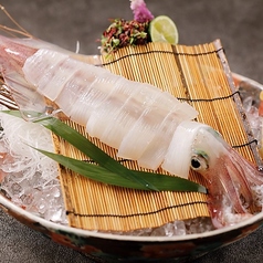 【当店名物】いか姿造り