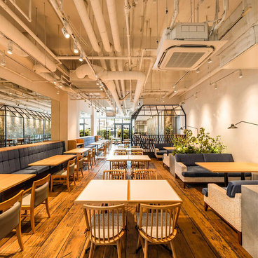 MAISON ICHI PLUS メゾン イチ プリュスの雰囲気1