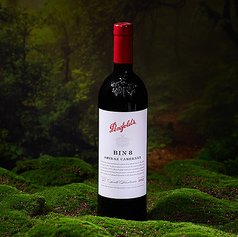 PENFOLDS Bin 389 ビン