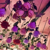 chochoritaの雰囲気2