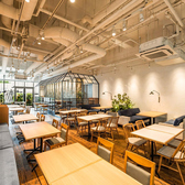 MAISON ICHI PLUS メゾン イチ プリュスの雰囲気2