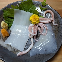 イカ刺し
