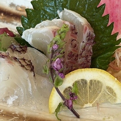 天草産　鯛のお造り