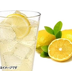 瀬戸内レモンサワー