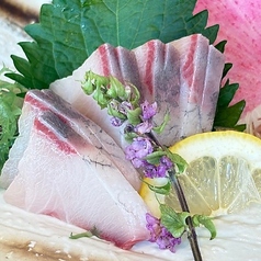 天草産　ハマチのお造り