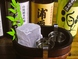 日本酒、常時40種類
