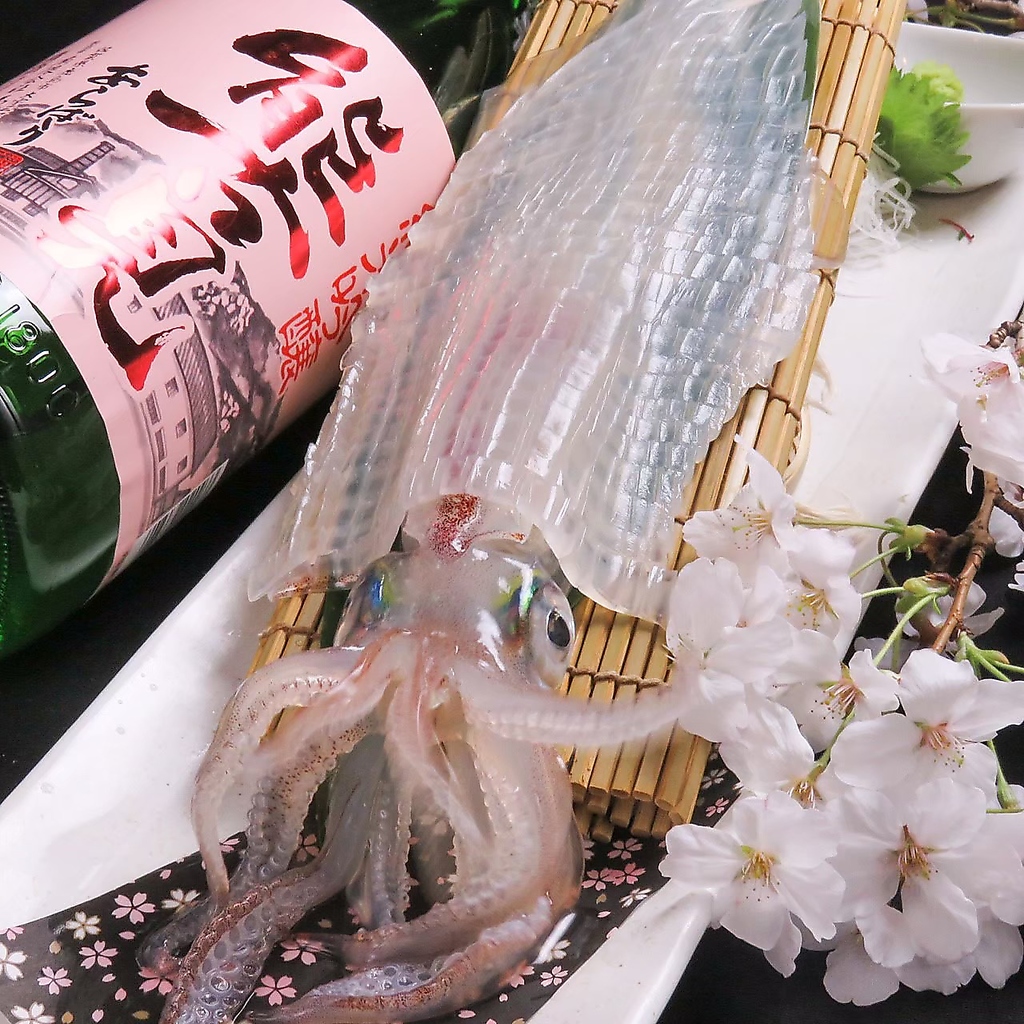 もつ鍋 居酒屋 博多駅 博多 飲み放題 鍋 魚 送別会 歓迎会 馬刺し 呼子イカ 五島サバ