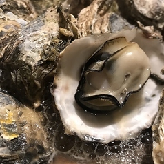 かきまるのコース写真