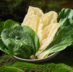 野菜盛り合わせ