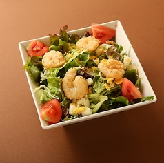 ディプジョティサラダ