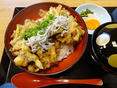しらすと野菜のかきあげ丼