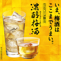 濃酵梅酒　