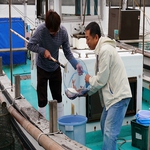 長浜の漁師さんから直接届けられる新鮮魚介！
