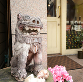 ご夫婦で営む温かみのある空間で、ゆったりと沖縄の幸を堪能できるお店。木の温もりを感じる店内は、初めてでもどこか落ち着く雰囲気。沖縄料理と泡盛を囲みながら、心ほどけるひとときをお過ごしください。