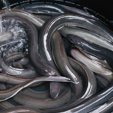 ユキノアジトのおすすめ料理1