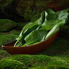 ほうれん草(ハーフ)