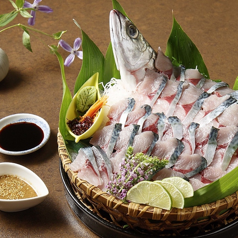 【さば活き造り付コース】長崎県産さば活き造りから、鯛鍋、旬魚の西京焼き、握り寿司など全9品