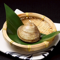 活白蛤貝