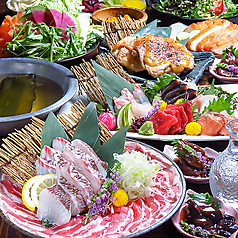 きたとら KITATORA 札幌駅北口店特集写真1