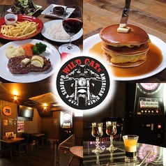 WILD CATs ワイルドキャッツ