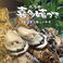 海人居酒屋 源 海人めし店