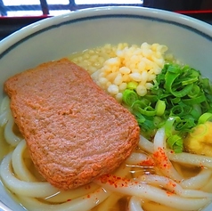 じゃこ天うどん