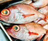 金沢の酒と旬菜 藤乃屋のおすすめ料理2